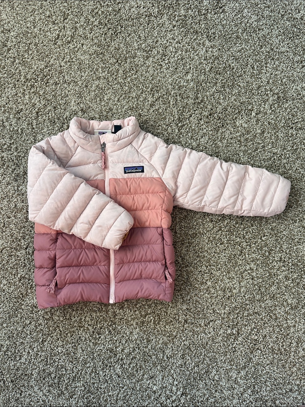 Patagonia toddler down jacket